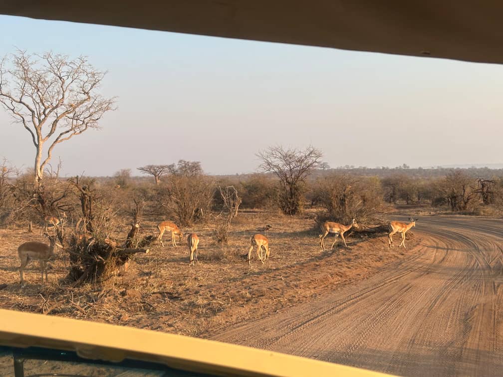 Cultural Encounters with Local Communities