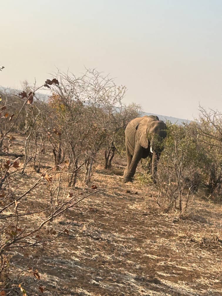 Off-the-Beaten-Path Exploration