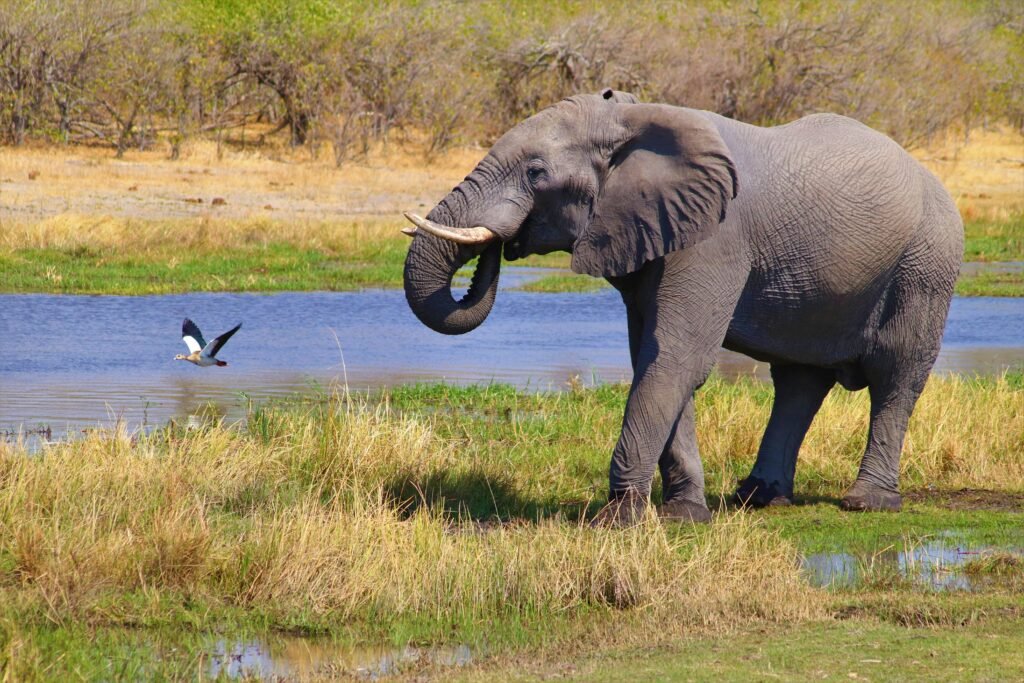 Botswana