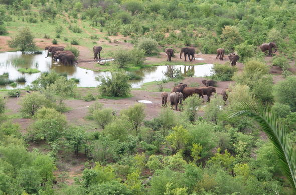 Zambezi National Park game-drives $72